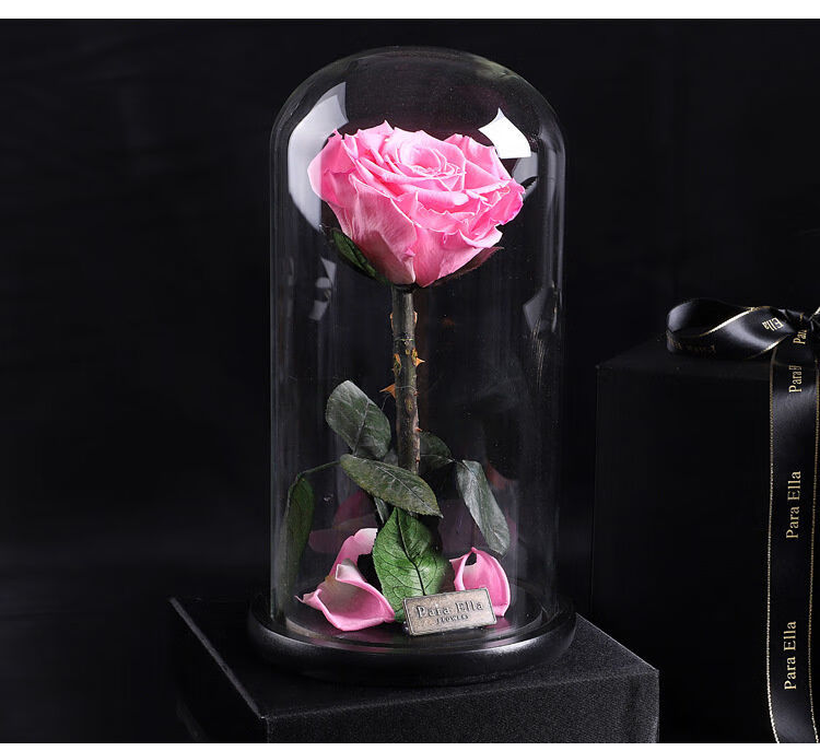 paraella永生花玫瑰花玻璃罩保鲜花礼盒圣诞节情人节创意礼物红色
