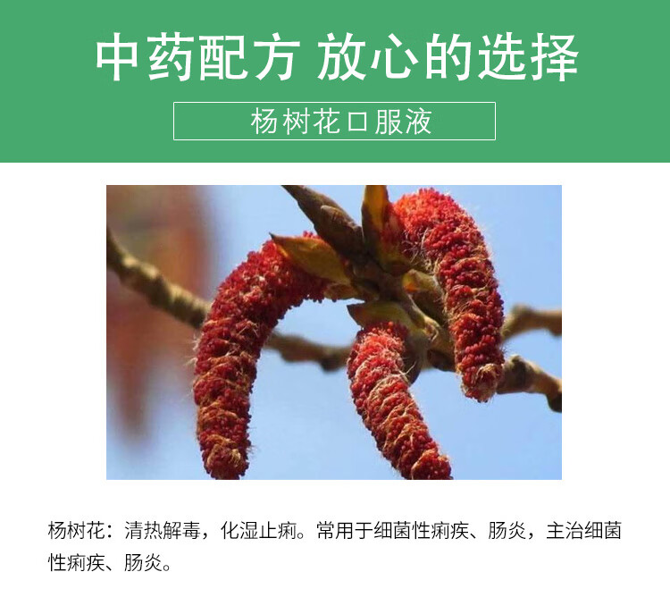 杨树花口服液兽用小猪拉稀药兽药黄白痢腹泻羊拉稀兔仔猪止痢兽用 十