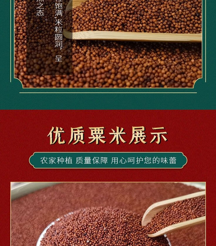 fghgf 广西特产红粟米鸭脚粟龙爪粟拳头粟掺子糙米五谷杂粮代餐粗粮 3