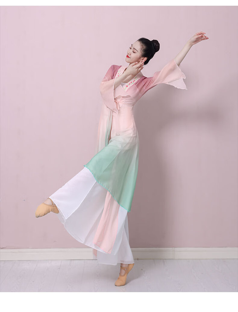 珍妮羊古典舞蹈服装女飘逸仙气上衣演出服套装中国舞身韵纱衣练功服
