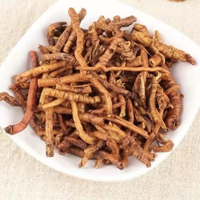 同仁堂中药材新货野生炙远志干500g克 精选制远志肉蜜炙远志 中草药