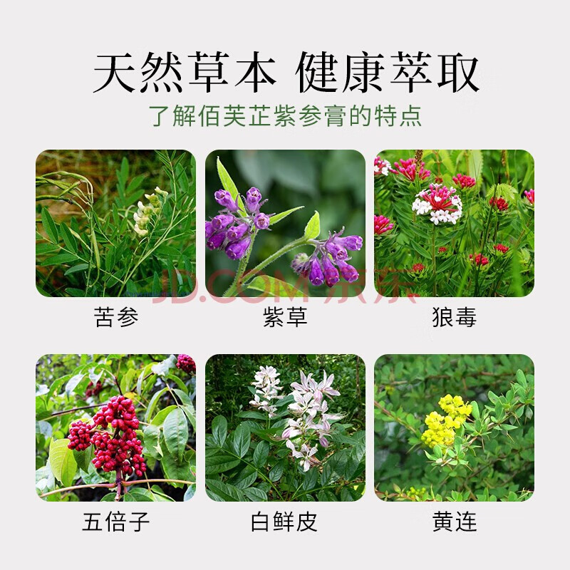 药房直售佰芙芷紫参膏百芙芷止紫参膏佰肤芙夫芷紫参膏2盒装