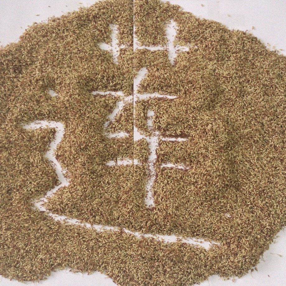 500g野生木莲籽木莲豆腐籽爱玉子冰粉籽手搓凉粉霹雳籽天然新籽【图片