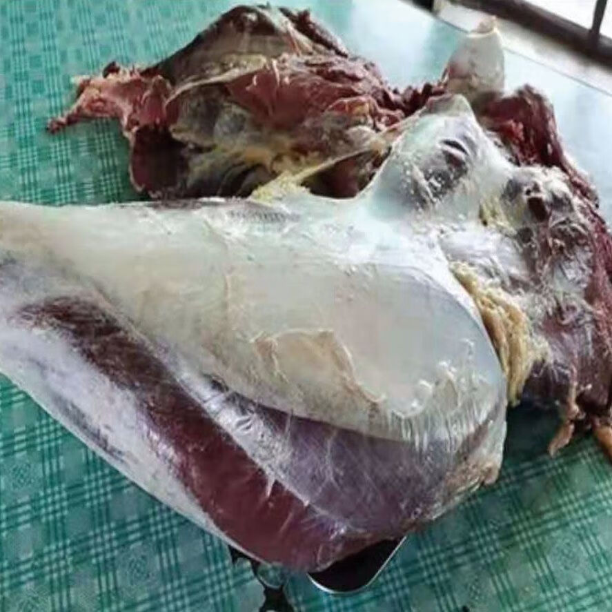 鸵鸟新鲜现杀鸵鸟大腿鸵鸟肉整只生鲜鸵鸟小腿