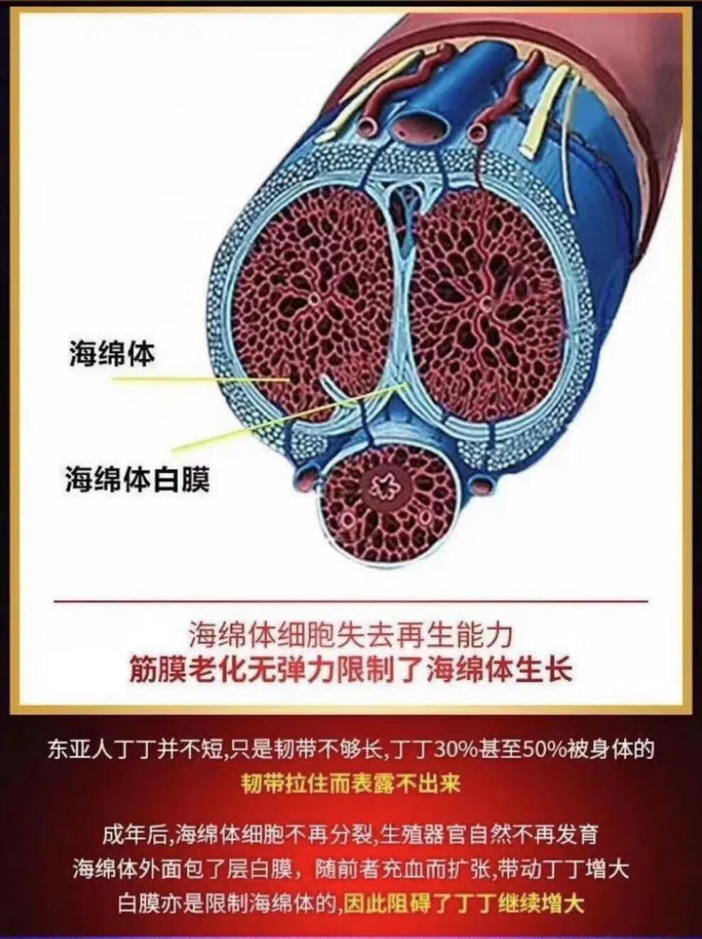 听好这个只可以男人用男性品男用滋补增23厘米一瓶体验装