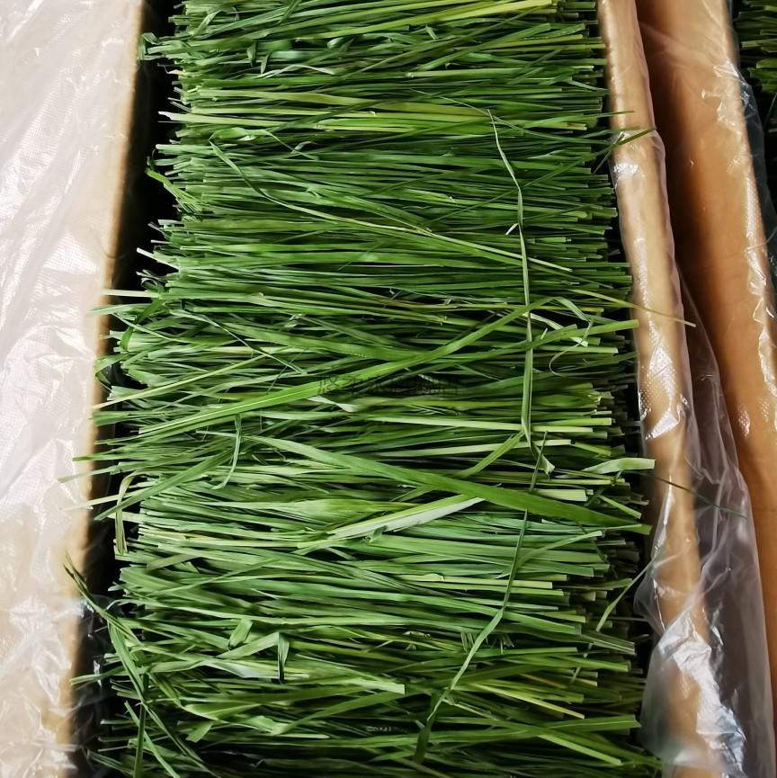 官方旗舰摩西提草提摩西草段5a烘干提草北提龙猫兔子豚鼠牧草干草毛重