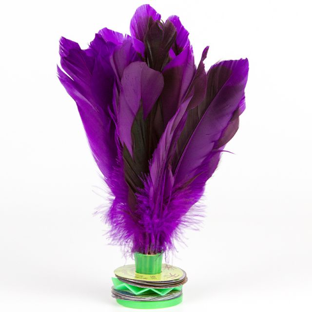 耐踢鸭毛毽子 大号彩色羽毛儿童比赛专用毽球牛筋底八彩8彩毽子 健身