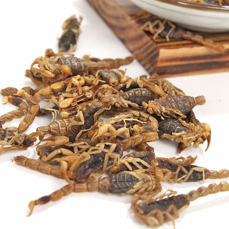 全蝎干中药材全虫100g清水蝎子全干货可磨粉另有水蛭蜈蚣【图片 价格