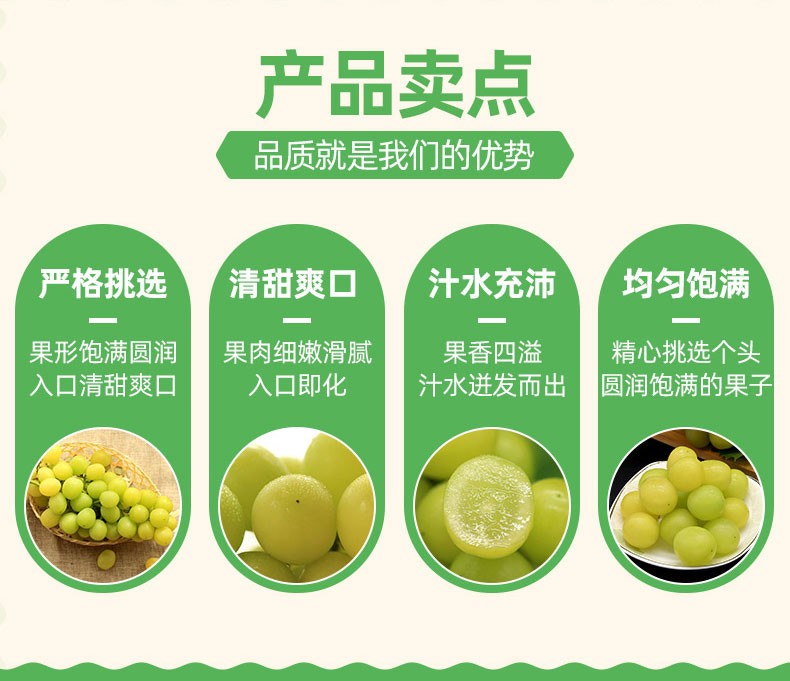 晴王阳光玫瑰葡萄日本品种香印青提无籽节日精品礼盒净果3斤新鲜孕妇