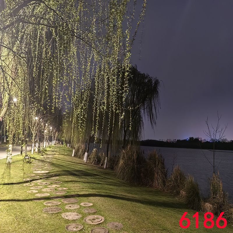 ae6b172d76381938.jpg
