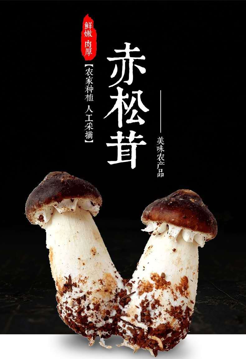 赤松茸新鲜姬松茸蘑菇食用菌球盖菌菇蔬菜香菇火锅菜