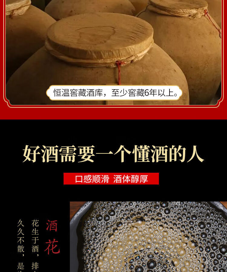 康师傅 文王贡酒 安徽临泉文王贡酒6年型专家级浓香型40.