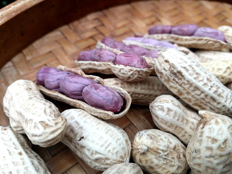 13年老店龙岩紫衣花生1000克连城湿烤咸干味2粒到4粒饱满脆酥香1000克