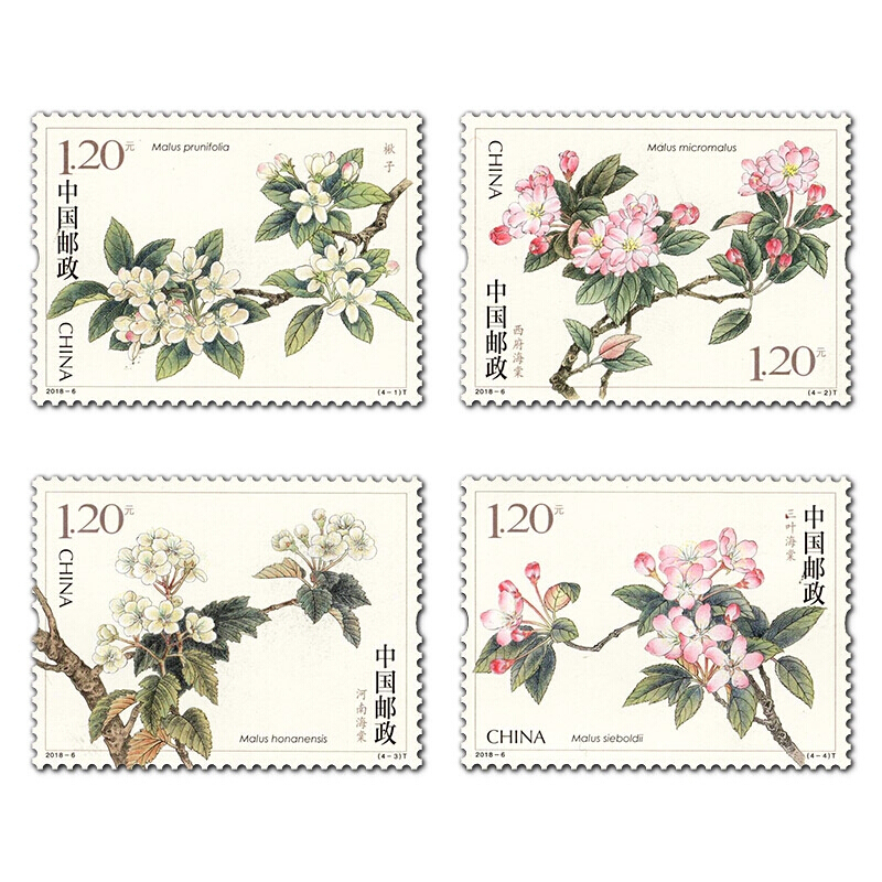 中国邮票收藏2018年邮票20186海棠花特种邮票大版票