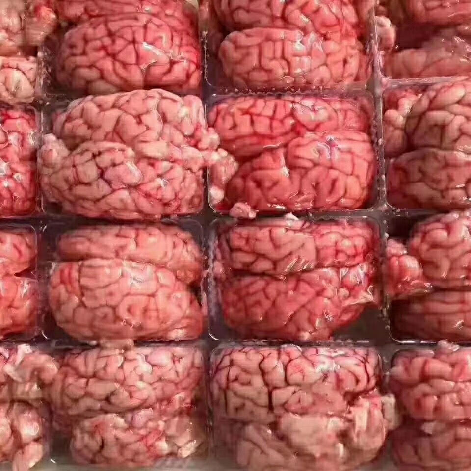 迈啃吱新鲜羊脑羊对脑山羊脑子清真羊脑花羊脑髓火锅新鲜羊脑1斤