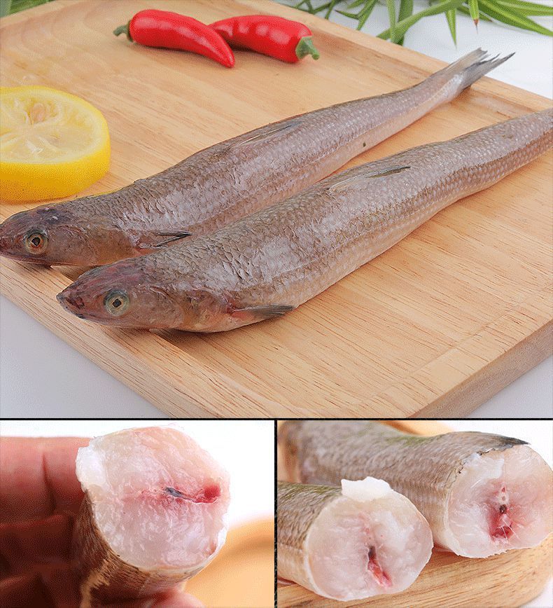 【冷藏发货】小梭鱼新鲜海捕沙丁鱼鲜活小梭鱼海鲜水产 十字丽日 小