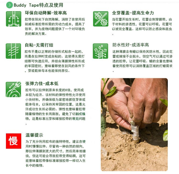 进口aglis糯米纸嫁接膜防水透气果树苗蔷薇月季金蛋子嫁接带不分段