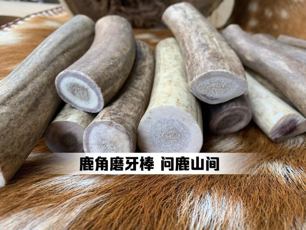 aa436eca3257be2f.jpg