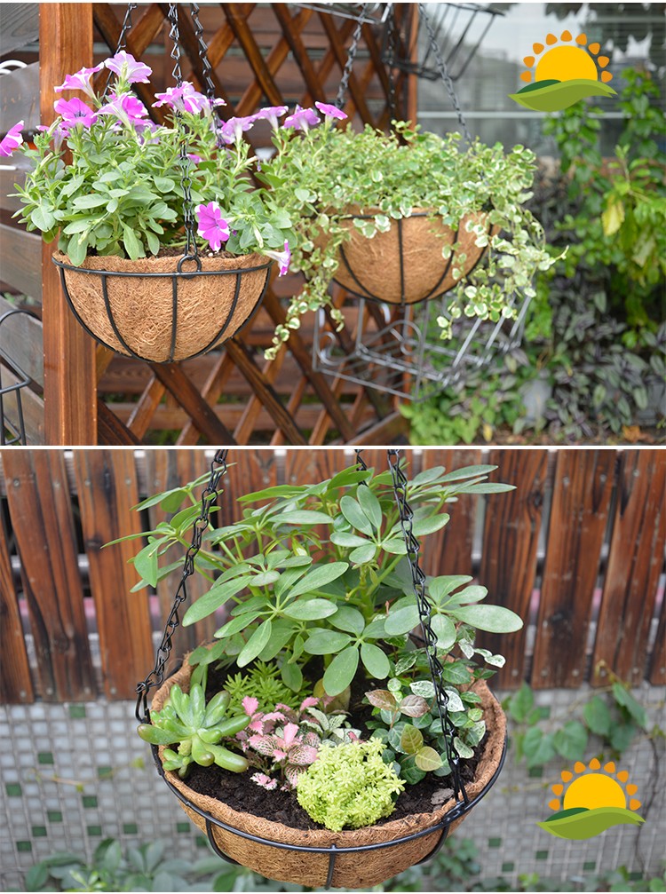 椰棕吊篮花盆悬挂式吊兰花盆创意吊挂挂钩绿萝多肉垂吊壁挂盆8寸椰棕