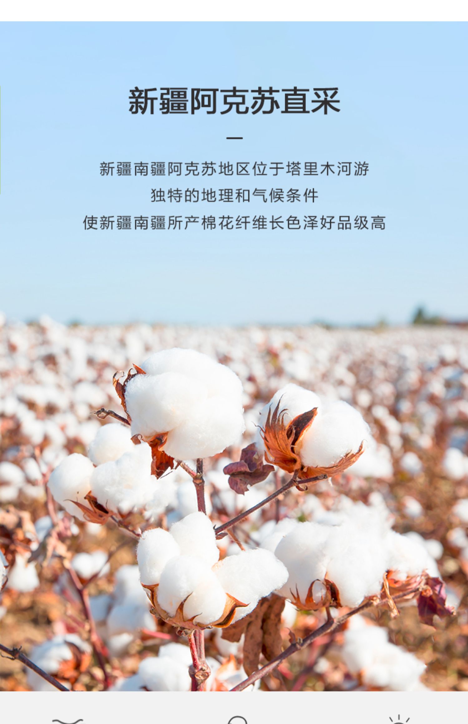 60支新疆长绒棉冬被子全棉纯四季通用双人秋冬季被芯春秋被杜邦仙护盾