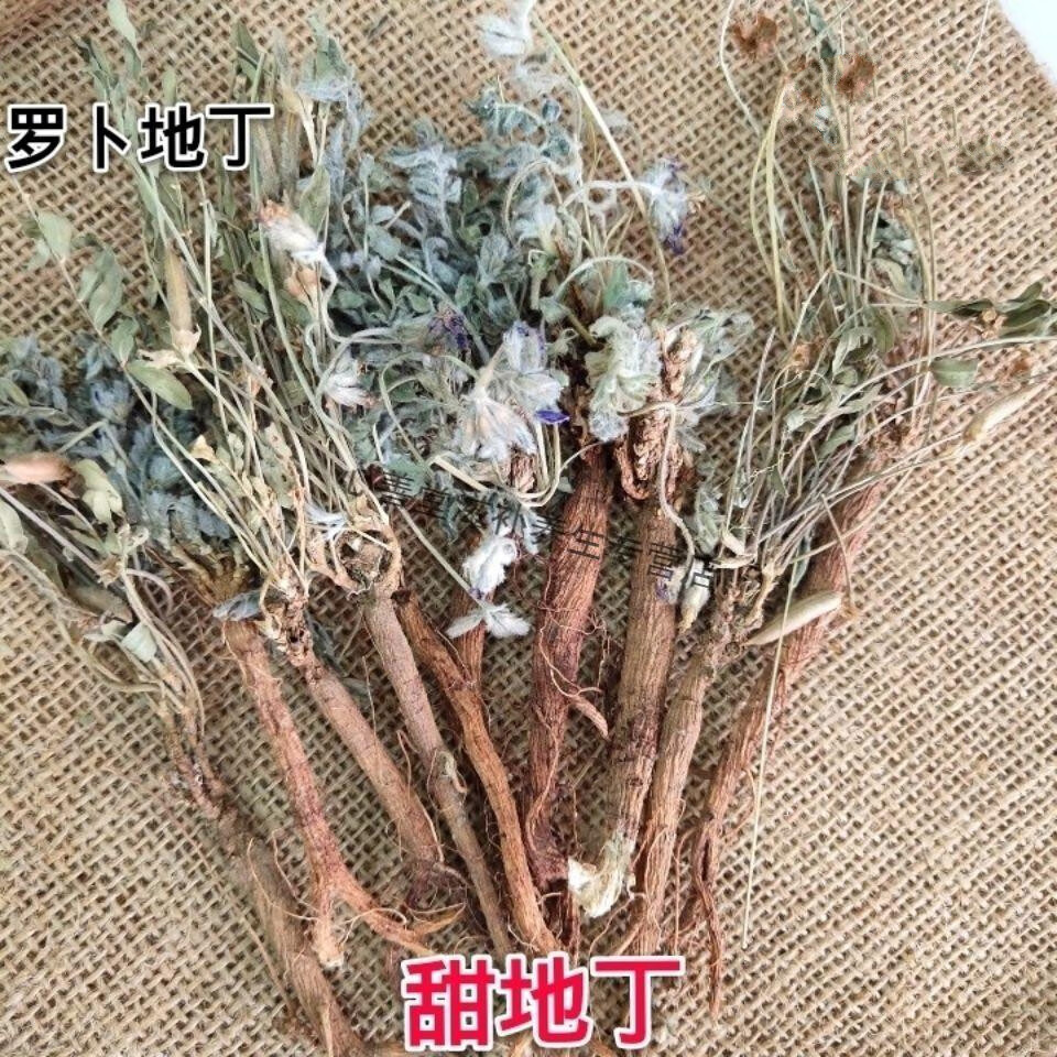 志医世家萝卜地丁甜地丁紫花地丁老鼠布袋米口袋地丁草晒干250g光根甜