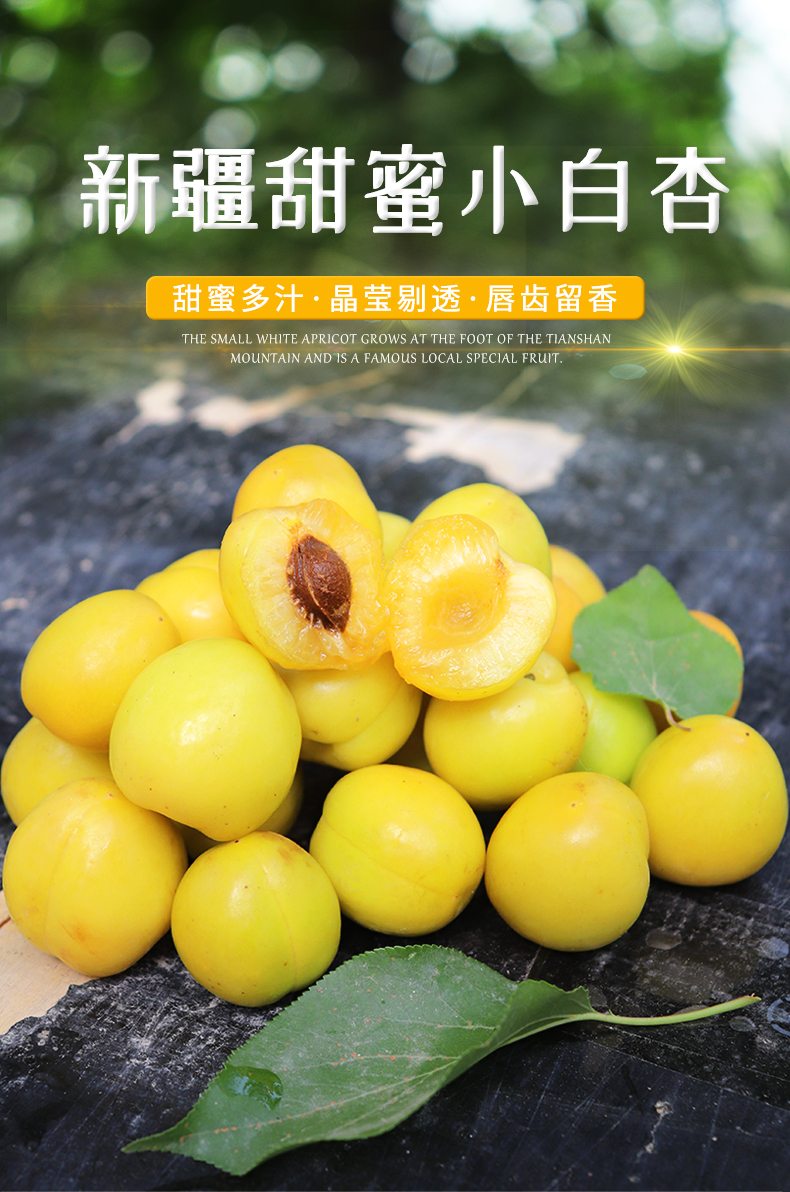 新疆小白杏新鲜杏子5斤库车轮台甜杏当季孕妇水果整箱原产地发货3斤
