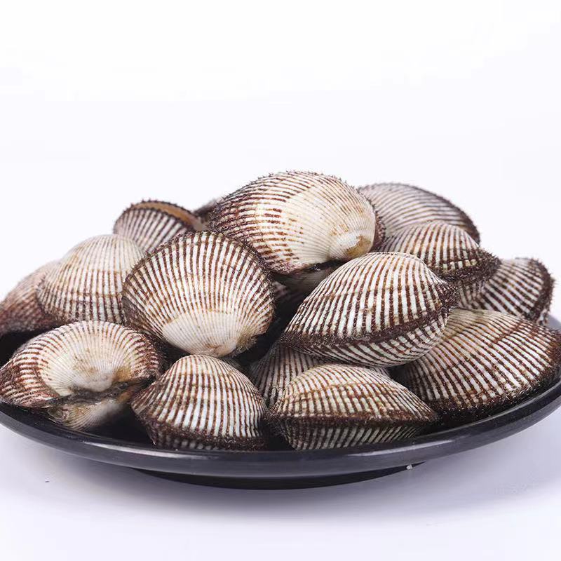 毛蛤蜊海鲜鲜活蛤蜊毛蚶毛蛤水产血蛤到家包活芳玫 2斤装【50-55粒/斤