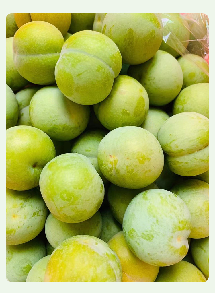 蜂糖李 正宗贵州六马蜂糖李子新鲜水果脱骨李蜂蜜李当季四川李 5斤