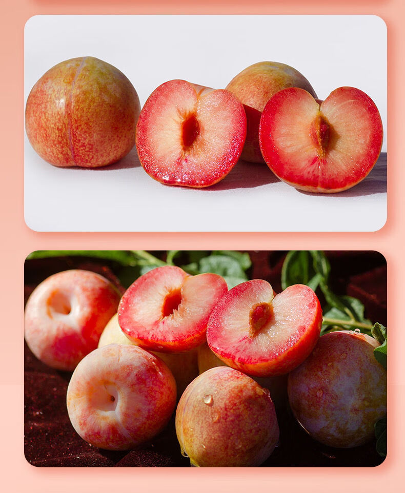 (现货)恐龙蛋 杏李 当季水果 新鲜孕妇水果 生鲜 3斤