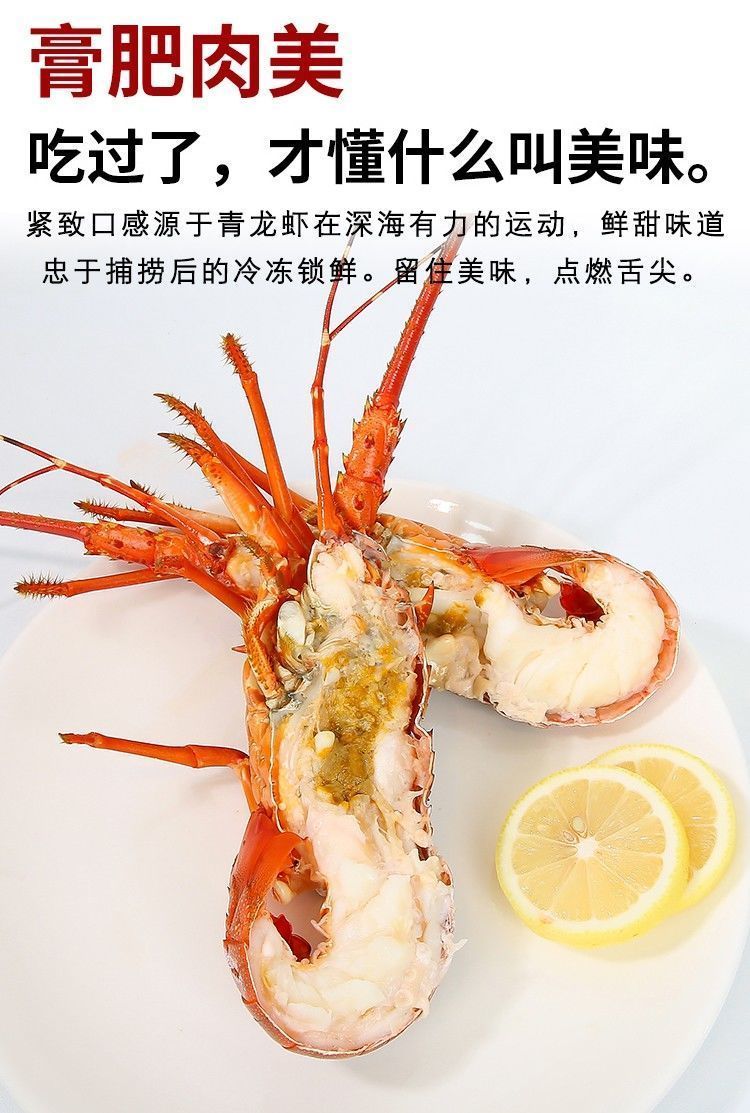 大龙虾小青龙虾鲜活速冻海鲜花龙虾新鲜活冻小青龙澳龙