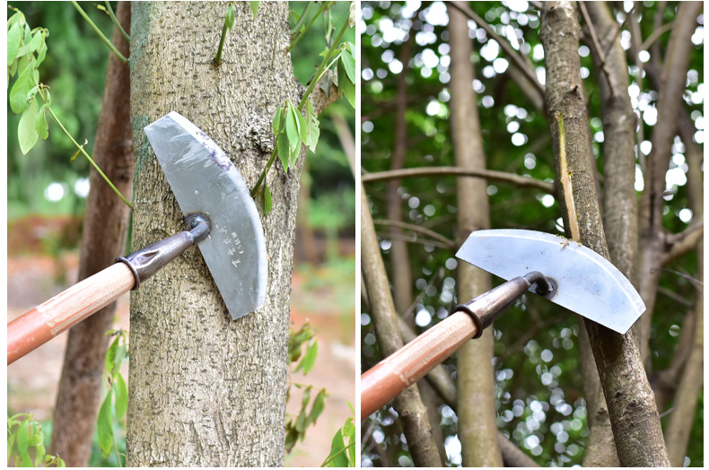 家用手动除草铲子月牙铲户外锄草工具铲草农用铲草神器连根推草铲白钢