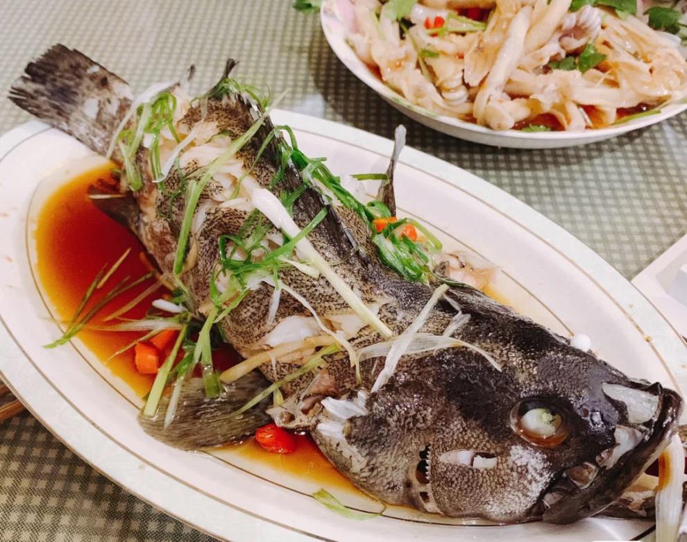 广西北海深海捕捞鲜活龙胆石斑鱼珍珠斑鲜活速冻顺鑫贝2条装1214条