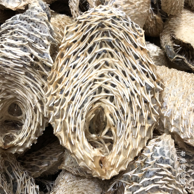 特大号海刺龟皮刺豚皮刺龟鱼皮海胆皮海产干货500克超大号12头500克