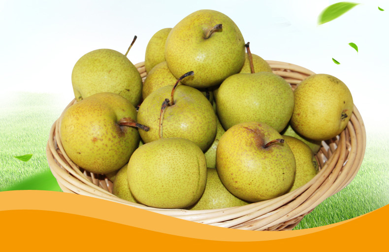 酸梨新鲜唐山安梨老酸梨细皮小酸梨可做东北冻梨孕妇酸水果小果5斤