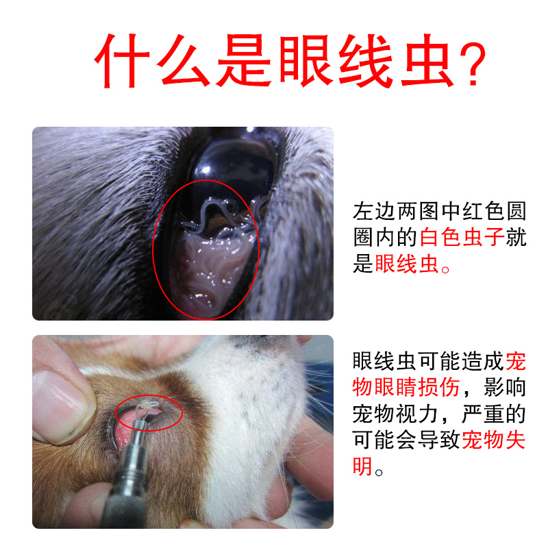 左旋咪唑滴眼液打虫药注射盐酸犬猫咪宠物狗狗眼线虫滴眼液买3盒发4盒