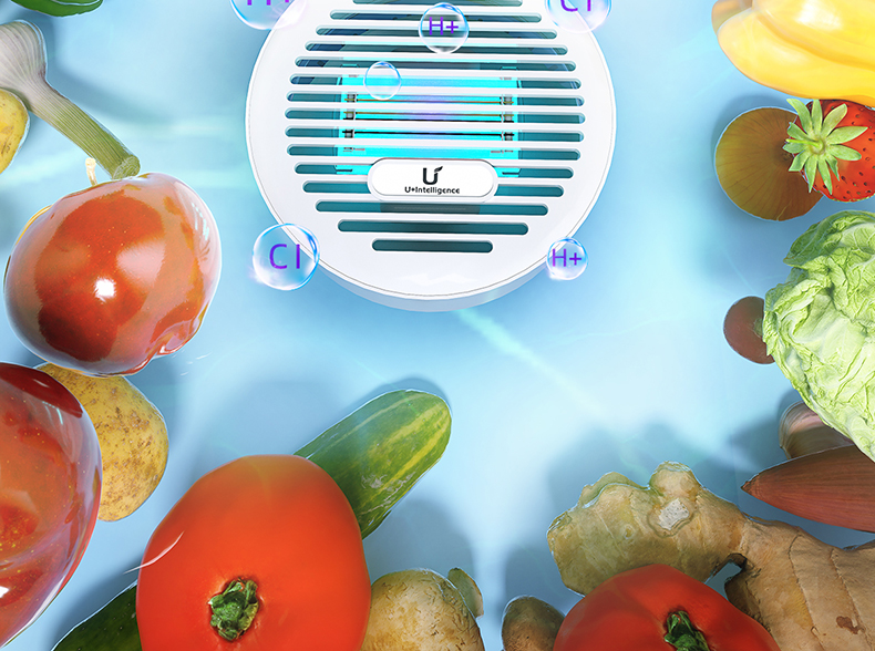 卫莱仕食材净化机德国洗菜机水果肉类蔬菜清洗机家用食材净化器去农残