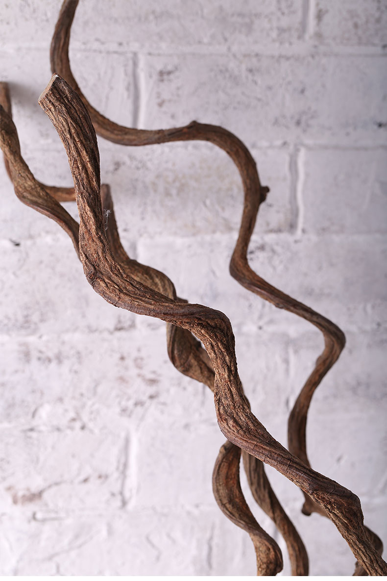 过江龙树藤干枝干花酒店客厅餐厅会所样板间装饰柳条干支树枝装饰细龙