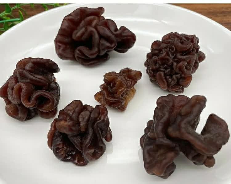 新货猴脑菌核桃菌干货500g猴脑菇玛卡菌黑球菌海参菌酒店特色食材
