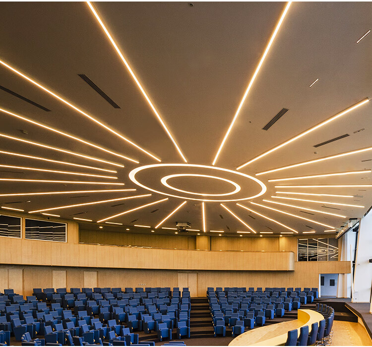 办公室灯led长条灯条形灯超市台球桌专用灯舞蹈教室健身房造型灯 黑框