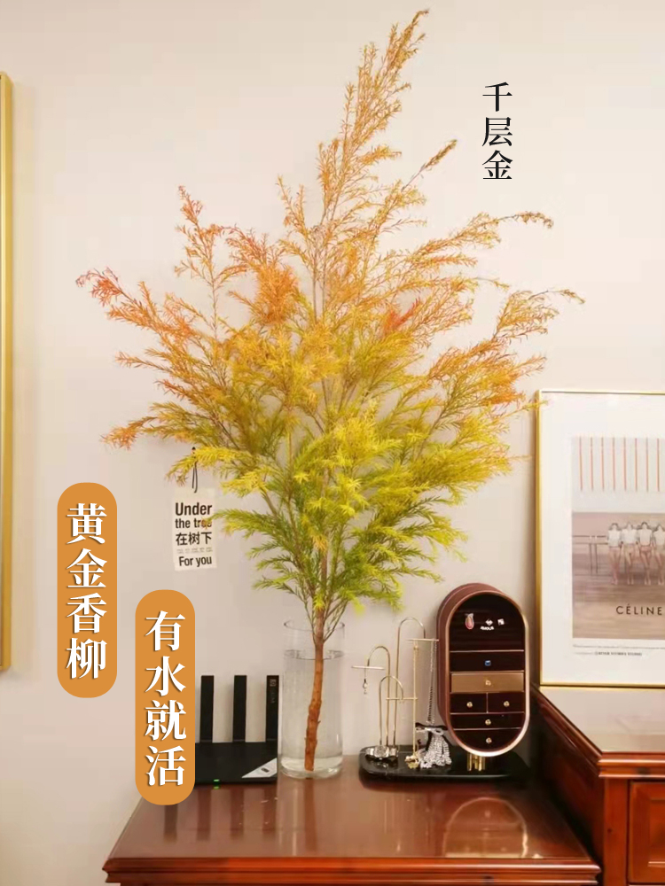 枝条室内桌面装饰插花可做干花水养植物盆千层金原色绿色2枝不含花瓶