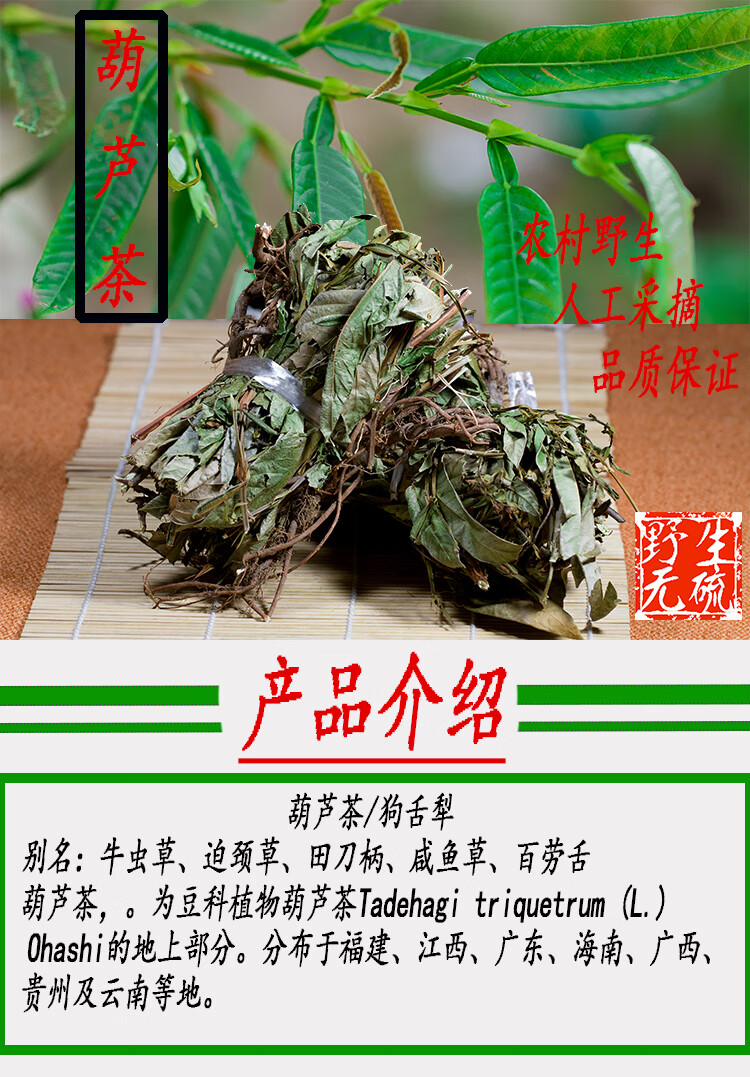 葫芦草图片功效图片