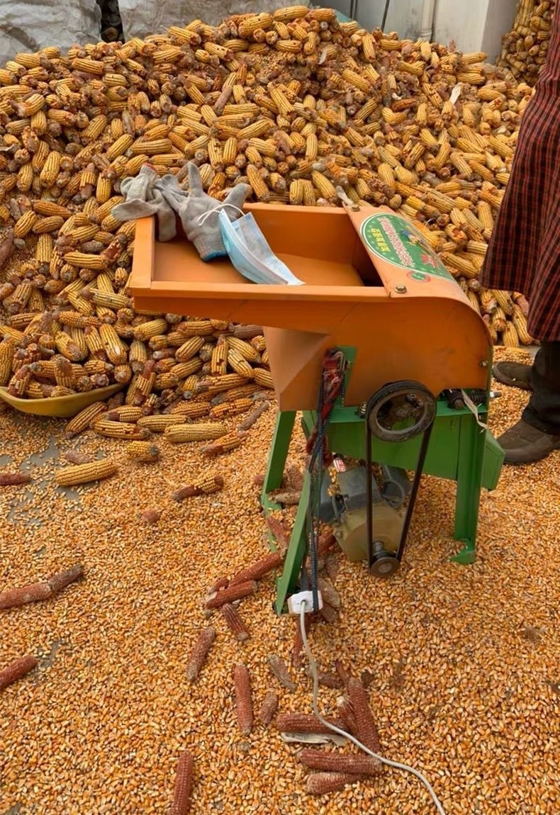 全自动家用玉米脱粒机 玉米脱粒机家用220v立式全自动玉米脱粒机苞谷