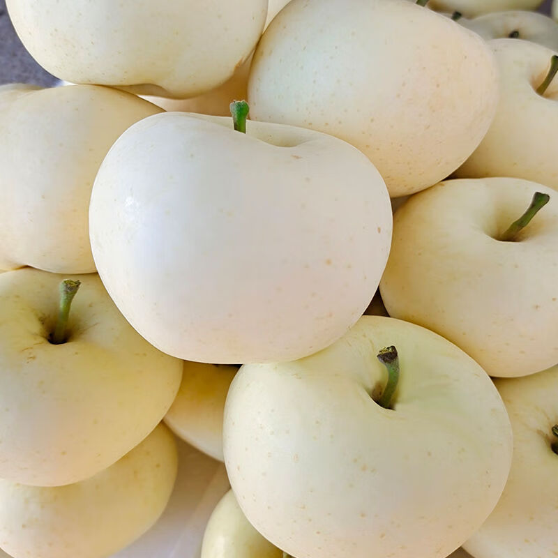 奶油苹果黄金富士丑白果东烟台新鲜水果当季整箱牛奶白色冰糖心5斤