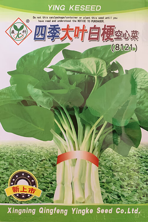 白梗大叶空心菜种籽白杆空心菜春夏秋四季耐热耐寒阳台蔬菜种孑子