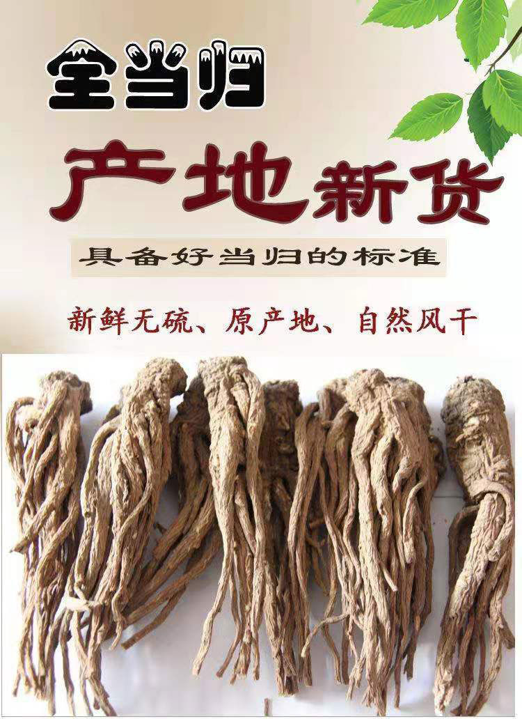 (特大野当归)甘肃岷县特级真野生大当归个野生当归头当归片 250克