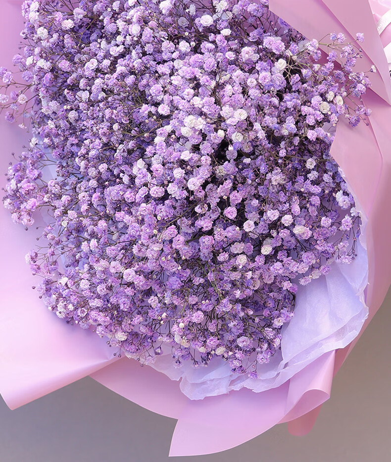 钰尚超大满天星绣球花束同城毕业生日礼物鲜花速递北京深圳上海广州