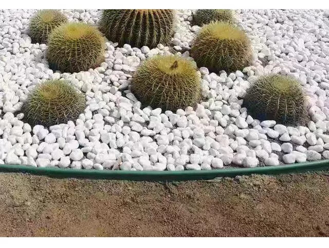 园林设计绿化草石隔离带隔根板隔根带绿色胶带隔根层隔草板绿色特a级