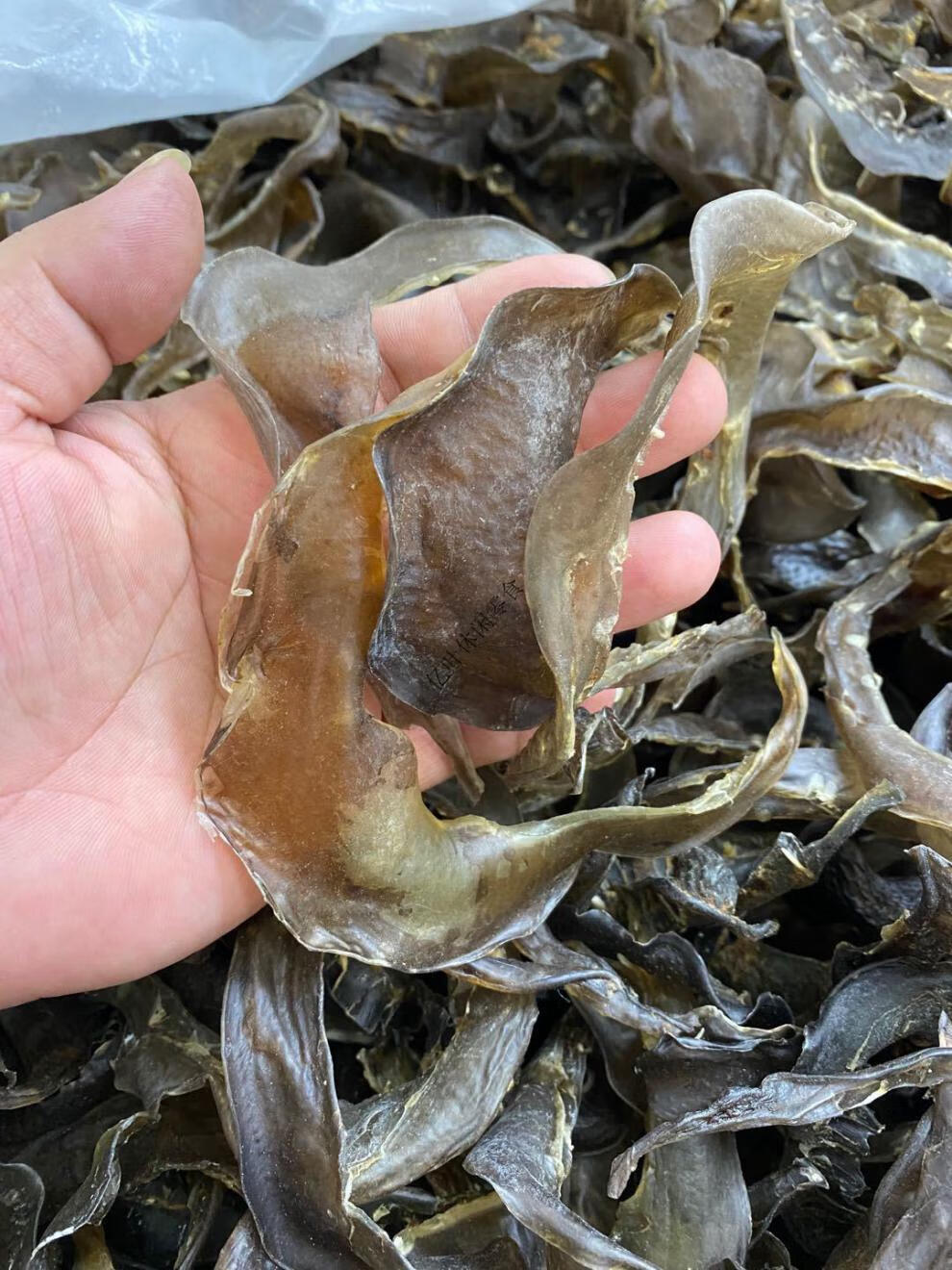 90头甲鱼裙边干水鱼边王八裙边龟裙边乌龟边龟板胶250g