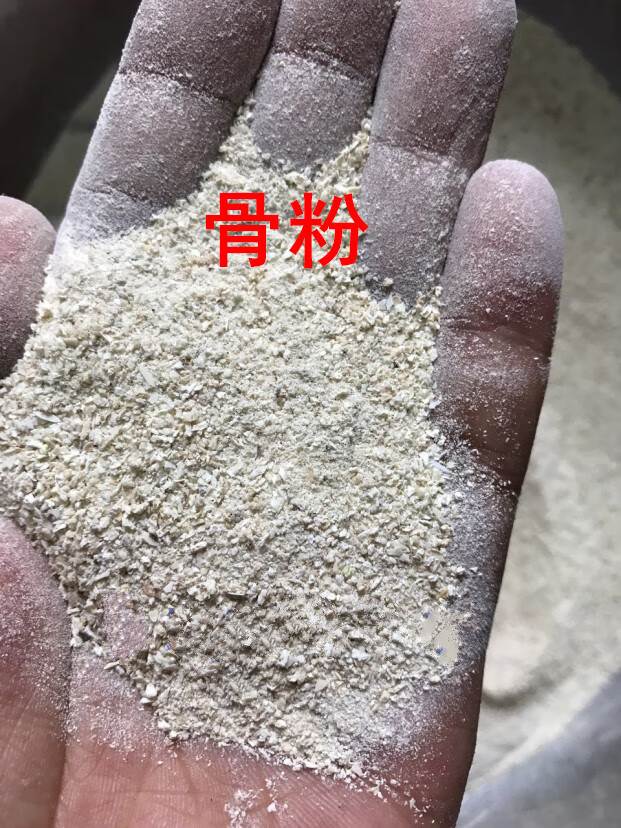 牛骨粉骨粒补钙脱脂无盐君子兰花磷肥花肥料鸽子禽宠物饲料 5斤全粉