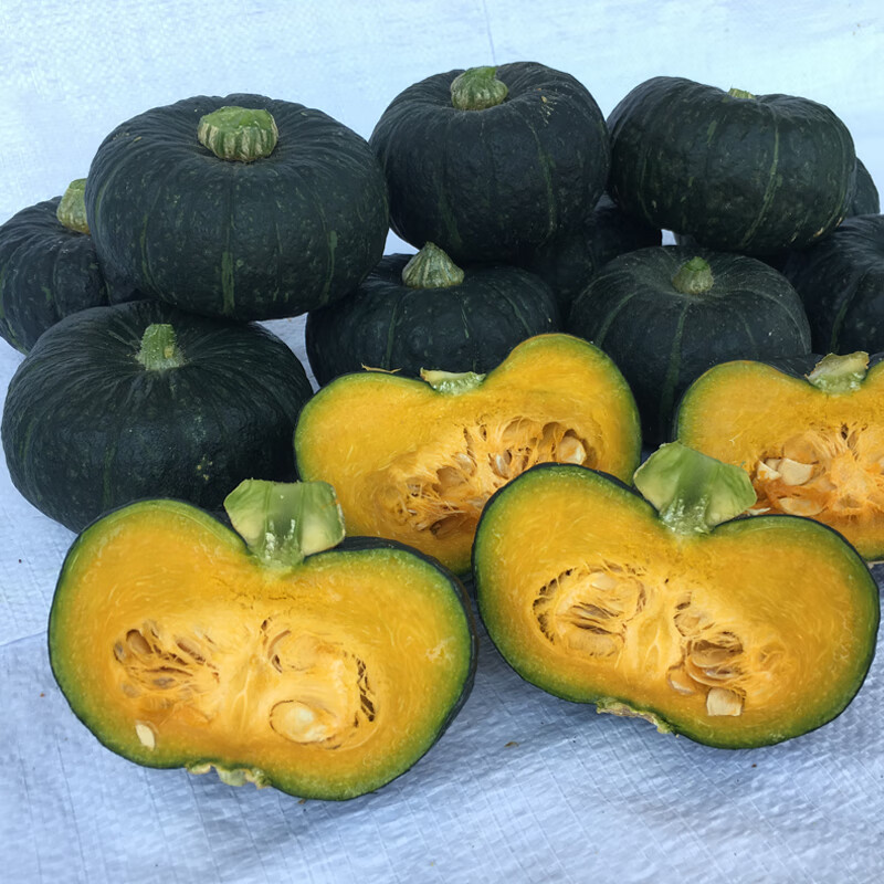 贝贝小南瓜6粒原装功效与作用/价格/好不好/效果/多少钱/怎么样 优惠